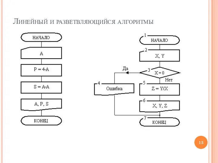 Линейный и разветвляющийся алгоритмы