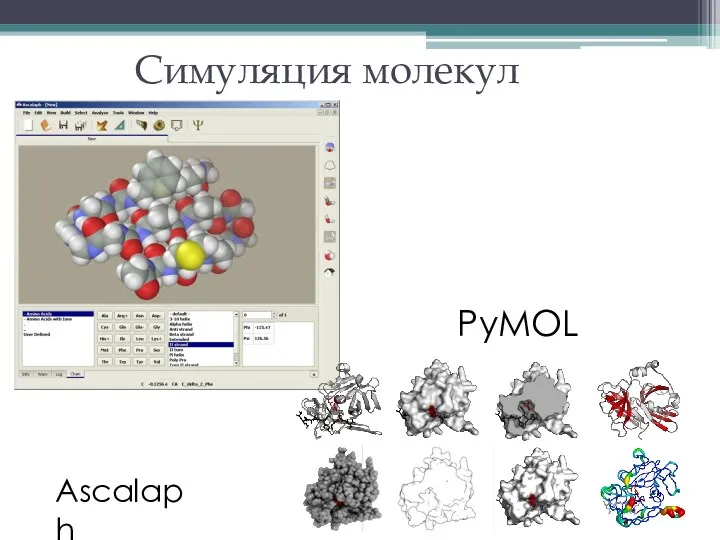 Симуляция молекул Ascalaph PyMOL