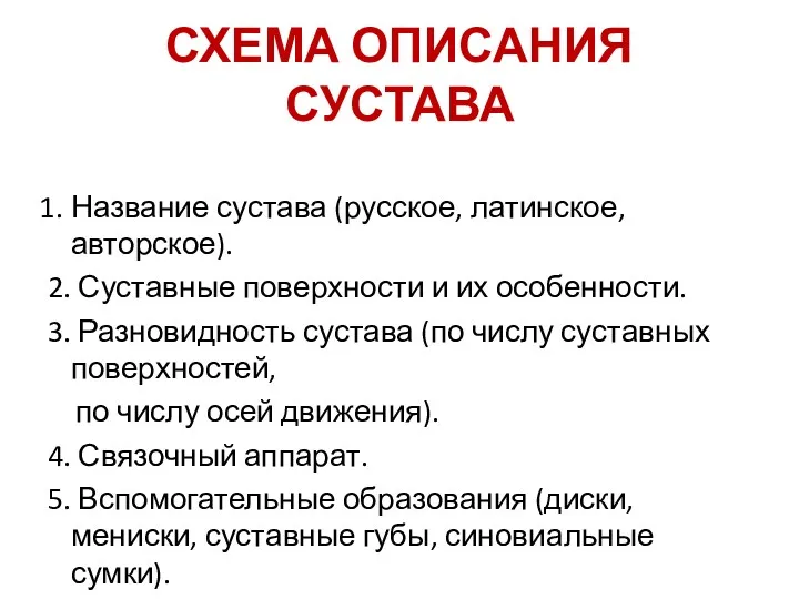 СХЕМА ОПИСАНИЯ СУСТАВА Название сустава (русское, латинское, авторское). 2. Суставные