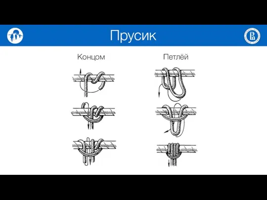 Прусик Петлёй Концом