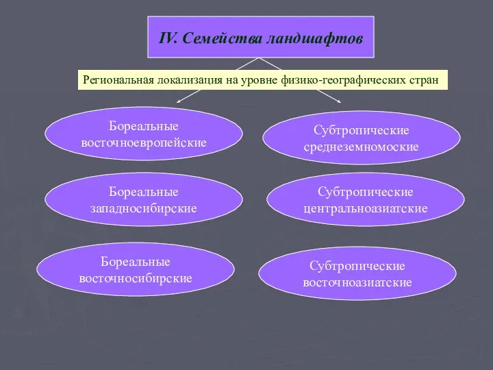 IV. Семейства ландшафтов Бореальные восточноевропейские Бореальные западносибирские Бореальные восточносибирские Субтропические