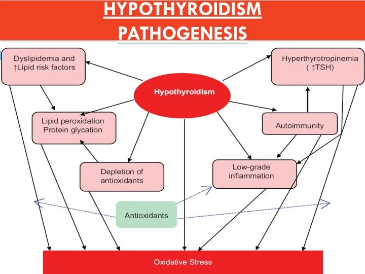 HYPOTHYROIDISM PATHOGENESIS