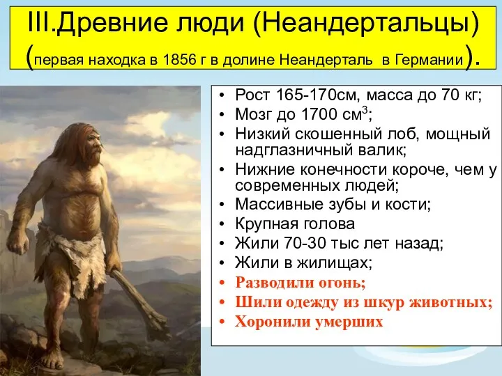 III.Древние люди (Неандертальцы) (первая находка в 1856 г в долине