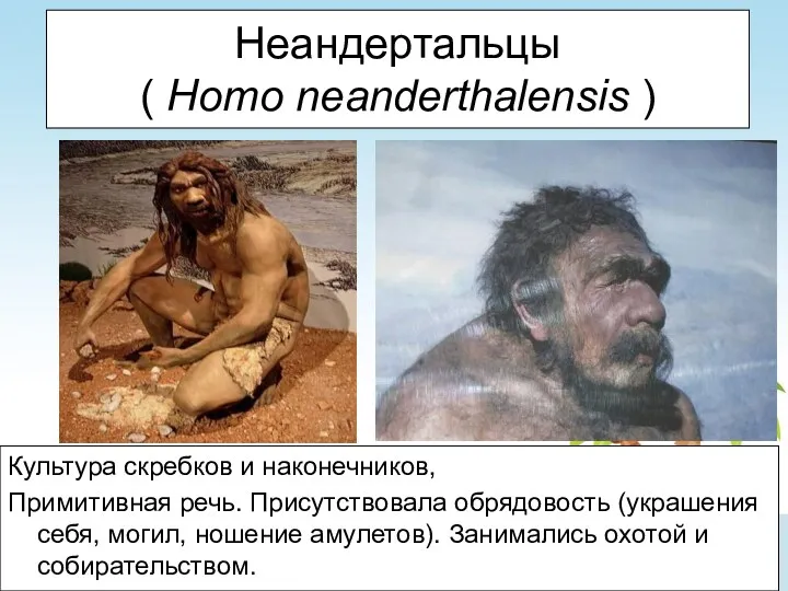 Неандертальцы ( Homo neanderthalensis ) Культура скребков и наконечников, Примитивная