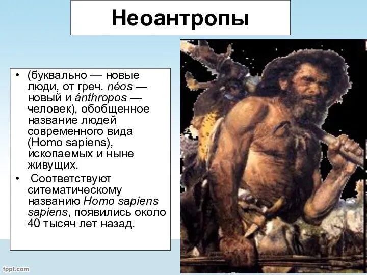 Неоантропы (буквально — новые люди, от греч. néos — новый