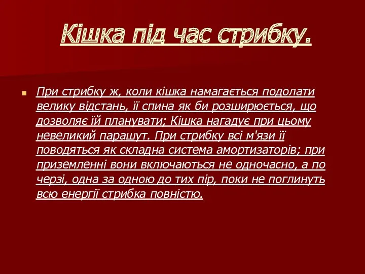 Кішка під час стрибку. При стрибку ж, коли кішка намагається