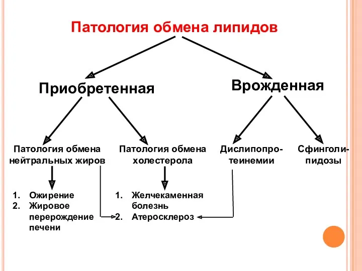 Патология обмена липидов Приобретенная Врожденная Патология обмена нейтральных жиров Патология