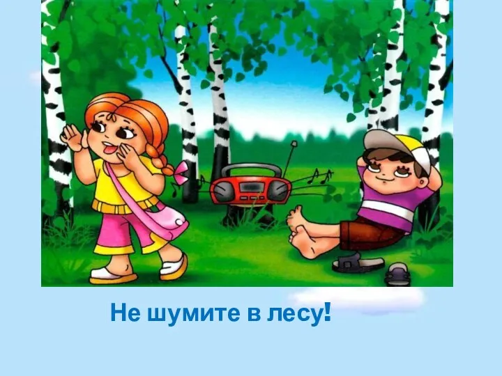 Не шумите в лесу!