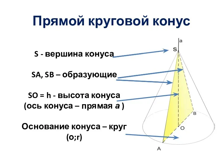 S - вершина конуса SA, SB – образующие SO =