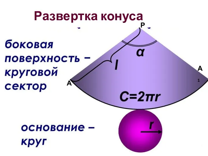 А А1 Р Развертка конуса