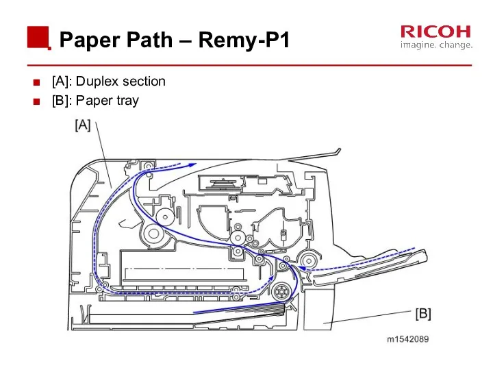 Paper Path – Remy-P1 [A]: Duplex section [B]: Paper tray