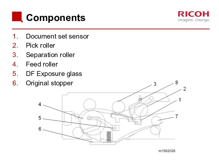 Components Document set sensor Pick roller Separation roller Feed roller DF Exposure glass Original stopper