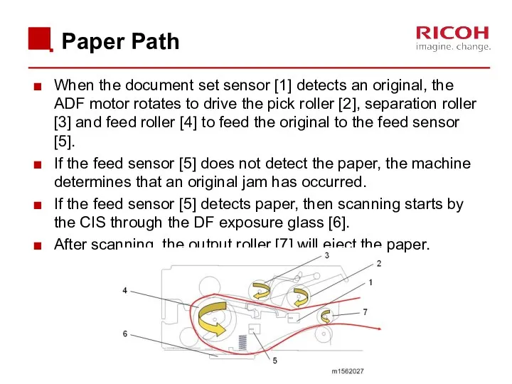 Paper Path When the document set sensor [1] detects an