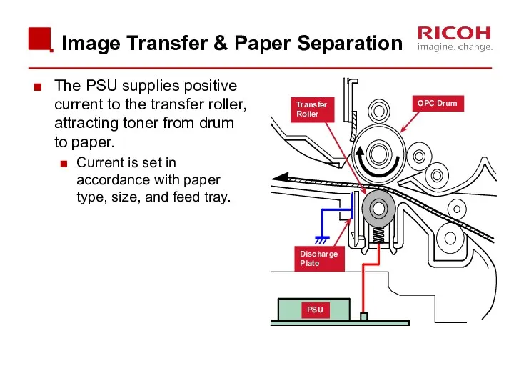 Image Transfer & Paper Separation The PSU supplies positive current