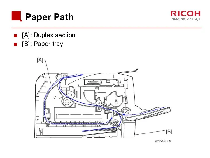 Paper Path [A]: Duplex section [B]: Paper tray