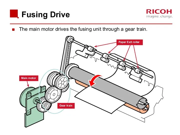 Fusing Drive The main motor drives the fusing unit through