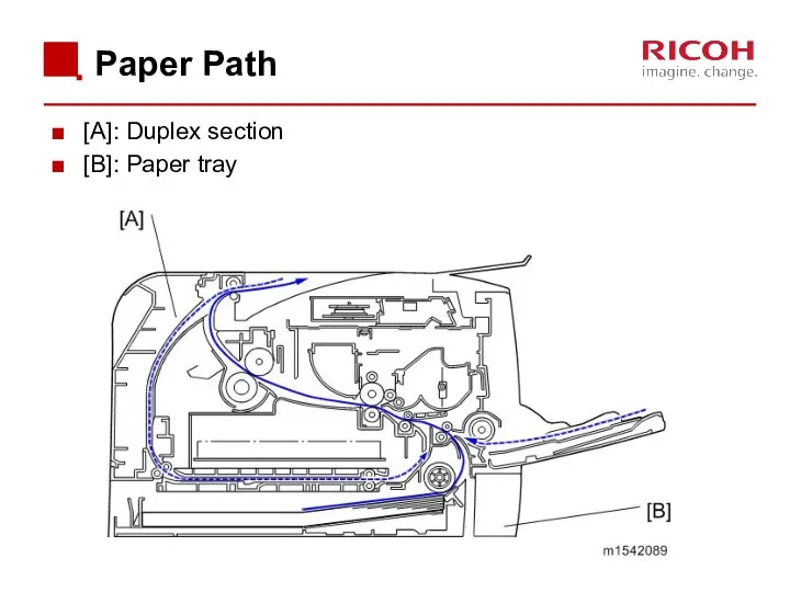 Paper Path [A]: Duplex section [B]: Paper tray