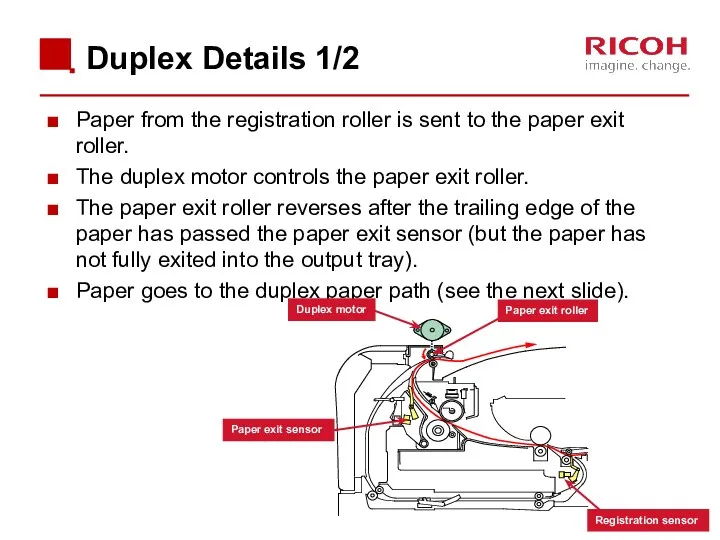 Paper from the registration roller is sent to the paper