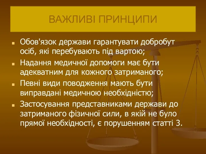 ВАЖЛИВІ ПРИНЦИПИ Обов'язок держави гарантувати добробут осіб, які перебувають під