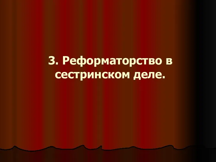 3. Реформаторство в сестринском деле.