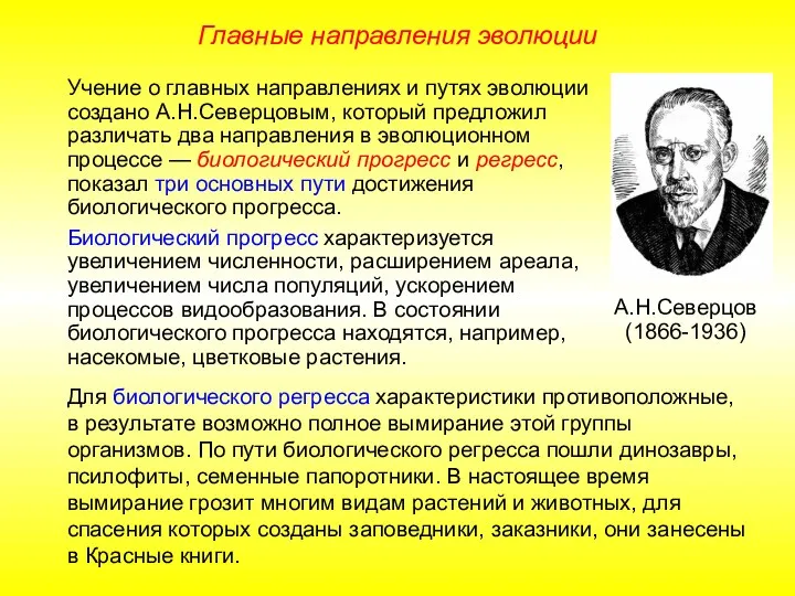 Главные направления эволюции Учение о главных направлениях и путях эволюции