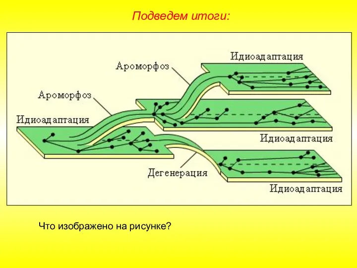 Подведем итоги: Что изображено на рисунке?