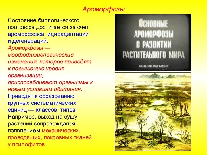 Состояние биологического прогресса достигается за счет ароморфозов, идиоадаптаций и дегенераций.