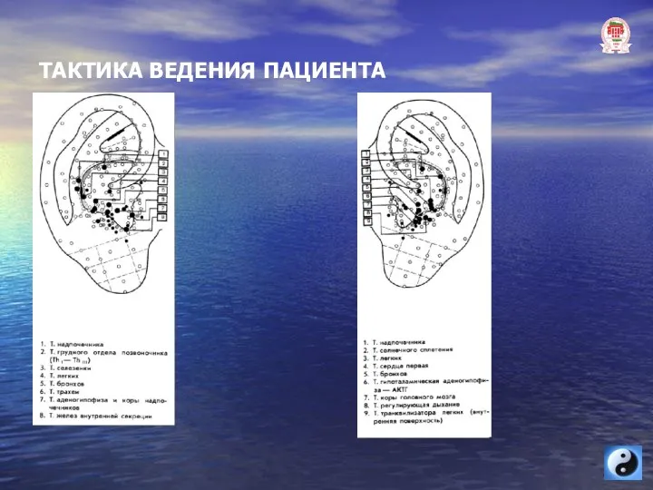 ТАКТИКА ВЕДЕНИЯ ПАЦИЕНТА