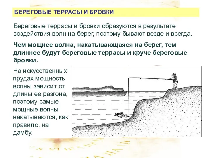 БЕРЕГОВЫЕ ТЕРРАСЫ И БРОВКИ Береговые террасы и бровки образуются в