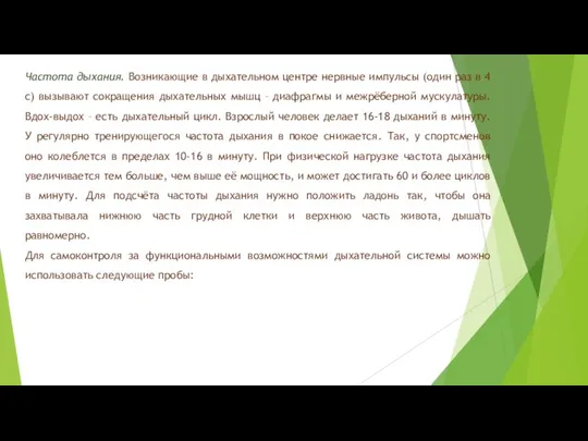 Частота дыхания. Возникающие в дыхательном центре нервные импульсы (один раз