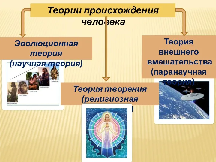 Теория внешнего вмешательства (паранаучная теория) Теории происхождения человека Эволюционная теория (научная теория) Теория творения (религиозная концепция)