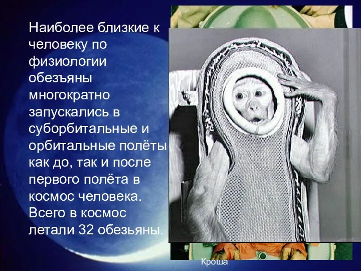 Наиболее близкие к человеку по физиологии обезъяны многократно запускались в