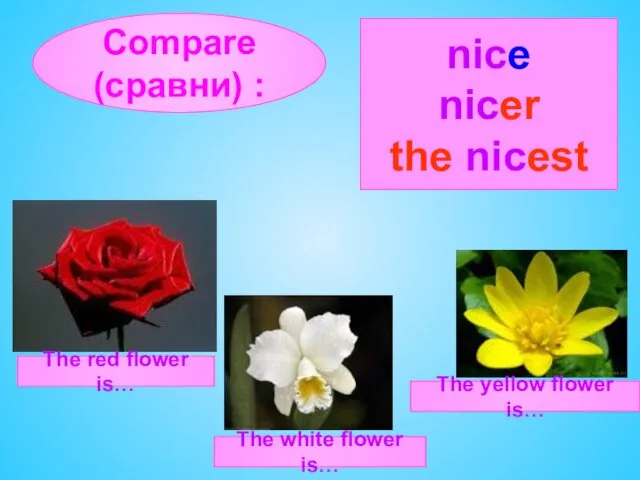Compare (сравни) : The red flower is… The white flower is… The yellow