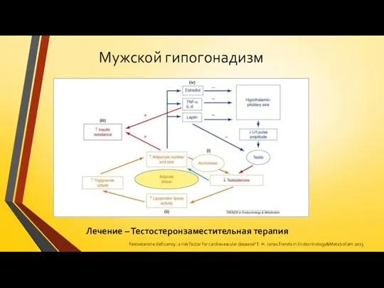 Мужской гипогонадизм Лечение – Тестостеронзаместительная терапия Testosterone deficiency: a risk