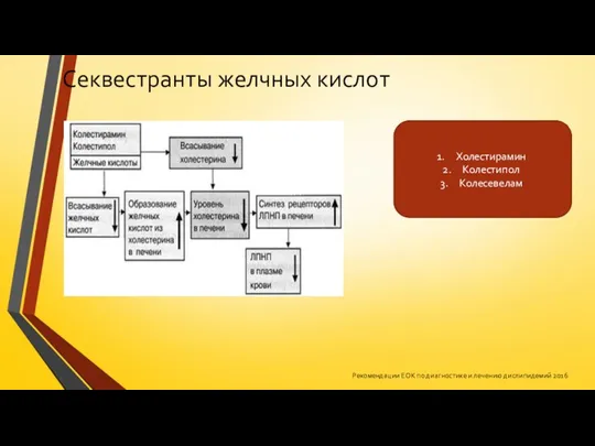 Секвестранты желчных кислот Холестирамин Колестипол Колесевелам Рекомендации ЕОК по диагностике и лечению дислипидемий 2016