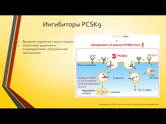 Ингибиторы PCSK9 Введение подкожное 1 раз в 2 недели Отсутствует вероятность взаимодействия с