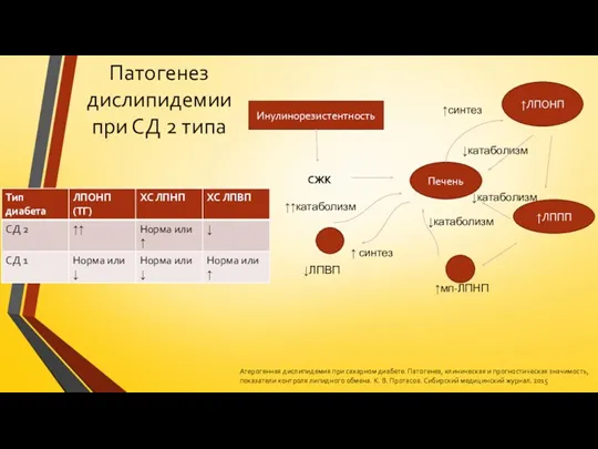 Патогенез дислипидемии при СД 2 типа Инулинорезистентность СЖК Печень ↑ЛПОНП ↑ЛППП ↑синтез ↓катаболизм