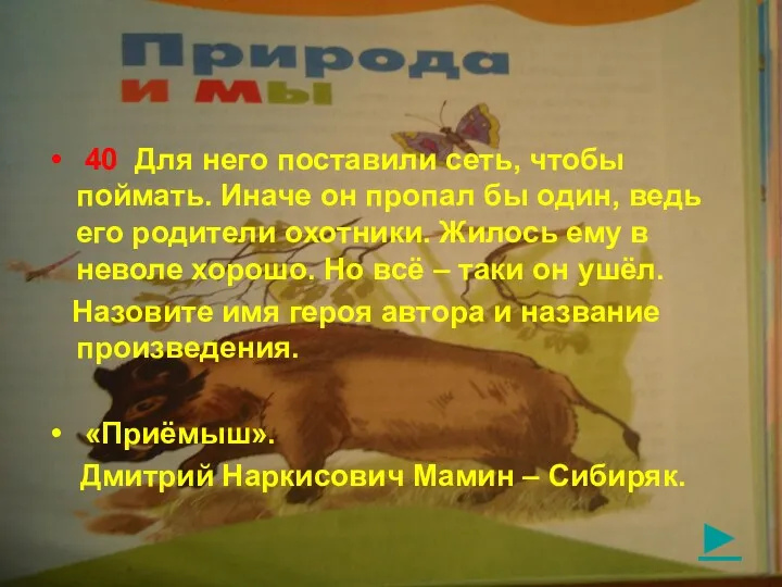 ► 40 Для него поставили сеть, чтобы поймать. Иначе он пропал бы один,