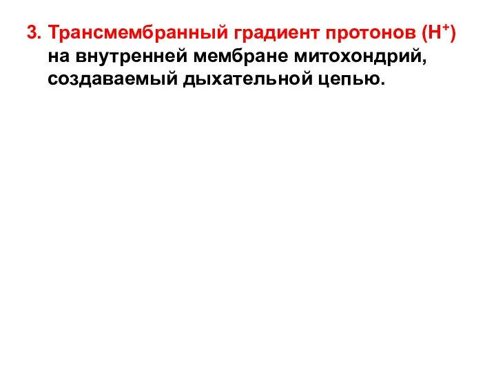 3. Трансмембранный градиент протонов (Н+) на внутренней мембране митохондрий, создаваемый дыхательной цепью.