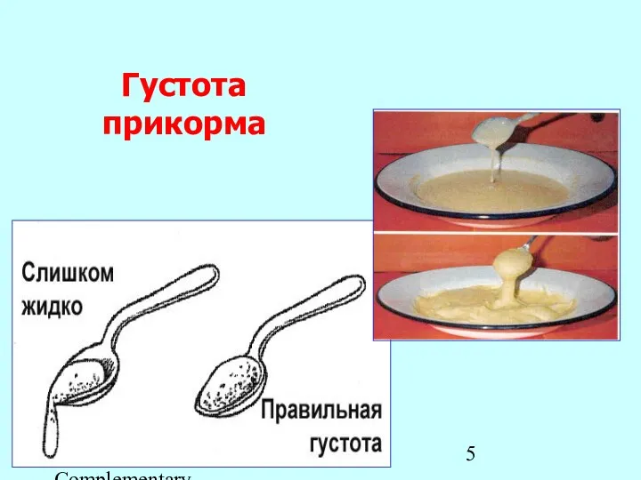 BPP7 Complementary Feeding_Rus Густота прикорма