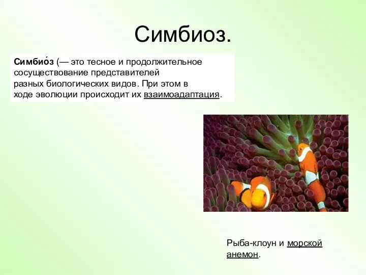 Симбиоз. Симбио́з (— это тесное и продолжительное сосуществование представителей разных