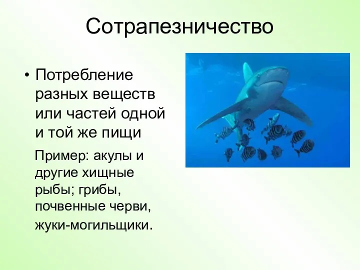 Сотрапезничество Потребление разных веществ или частей одной и той же