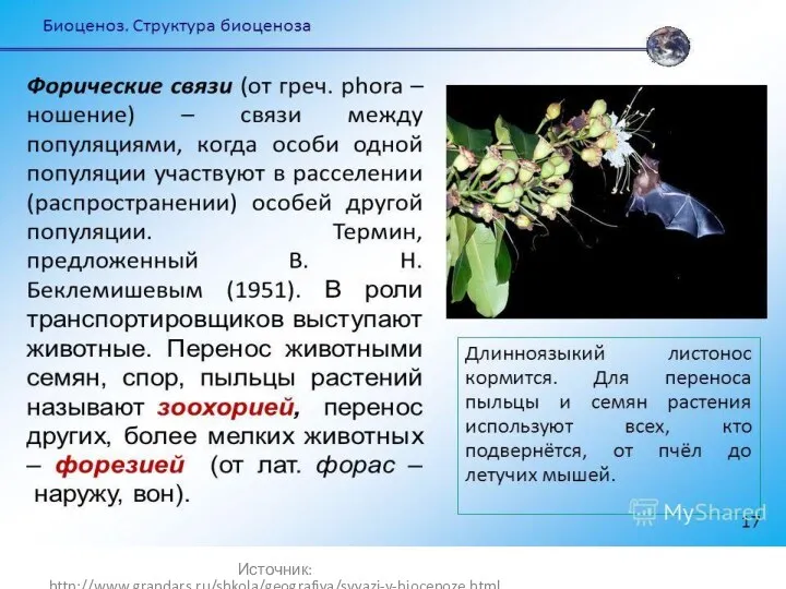 Источник: http://www.grandars.ru/shkola/geografiya/svyazi-v-biocenoze.html