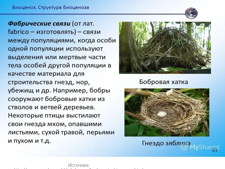 Источник: http://www.grandars.ru/shkola/geografiya/svyazi-v-biocenoze.html