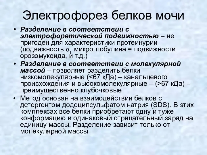 Электрофорез белков мочи Разделение в соответствии с электрофоретической подвижностью –