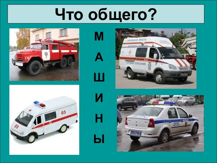 Что общего? М А Ш И Н Ы