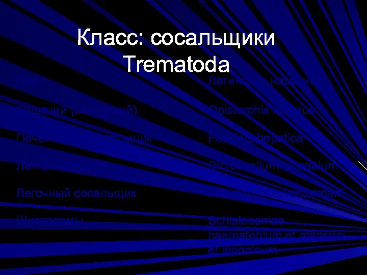 Класс: сосальщики Trematoda