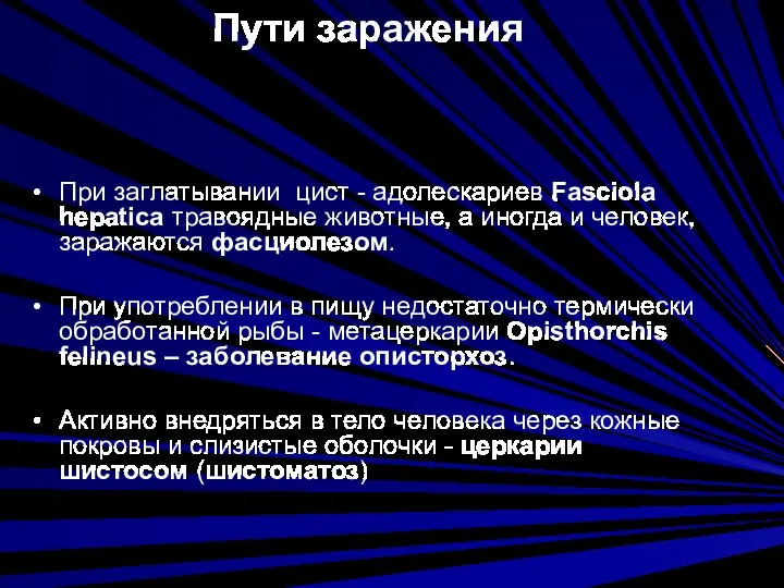 Пути заражения При заглатывании цист - адолескариев Fasciola hepatica травоядные