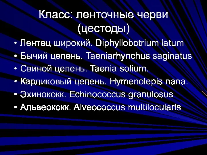 Класс: ленточные черви (цестоды) Лентец широкий. Diphyllobotrium latum Бычий цепень.