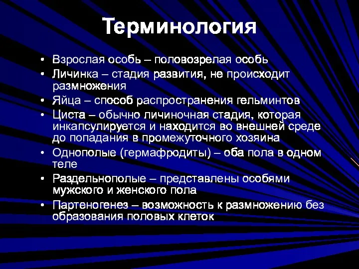 Терминология Взрослая особь – половозрелая особь Личинка – стадия развития,